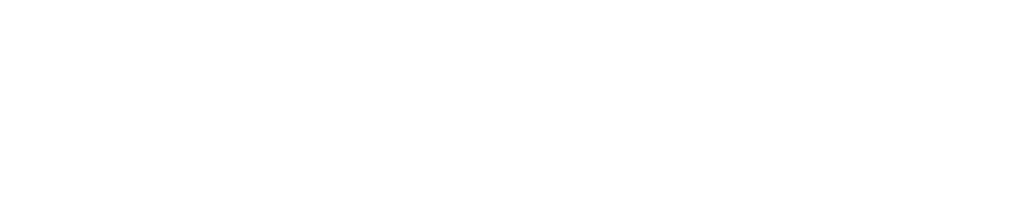 춘해의 비상